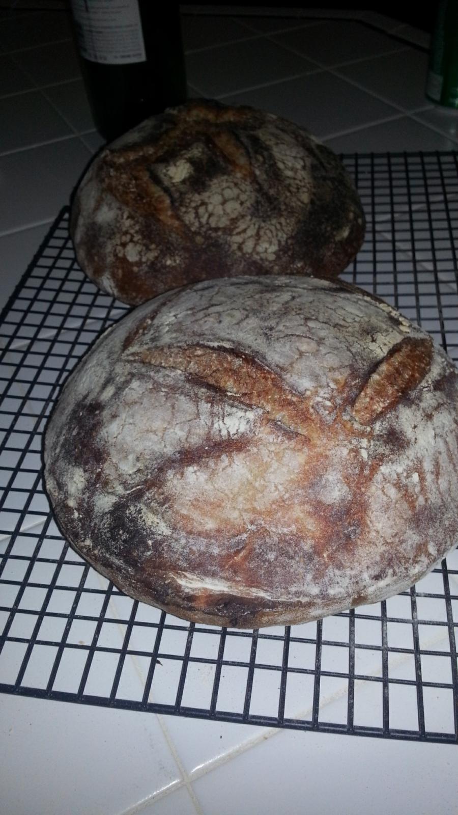 My First Shot at Tartine Breads Basic Country Bread The Fresh Loaf